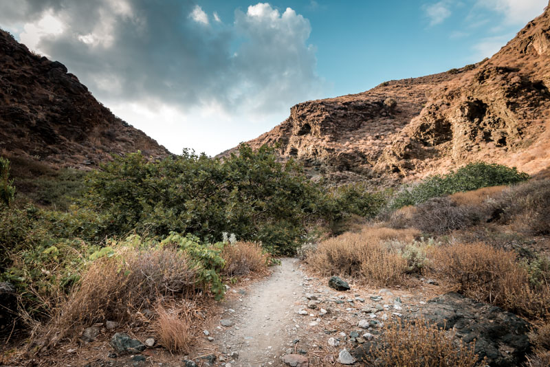Richtis Schlucht Gorge Kreta Wandern