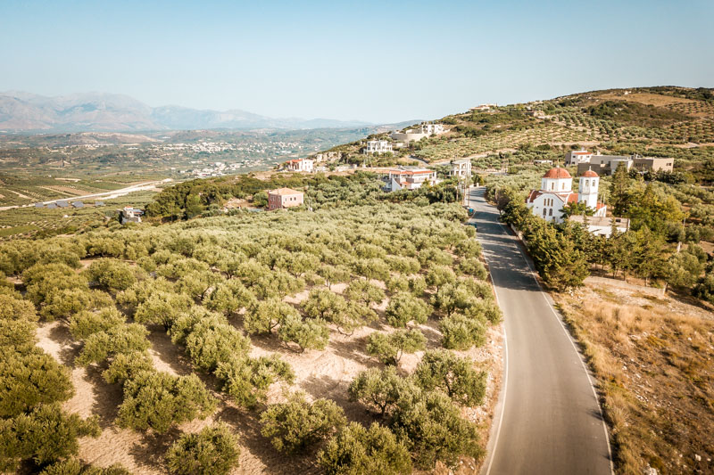 Griechenland Kreta vegetation landschaft