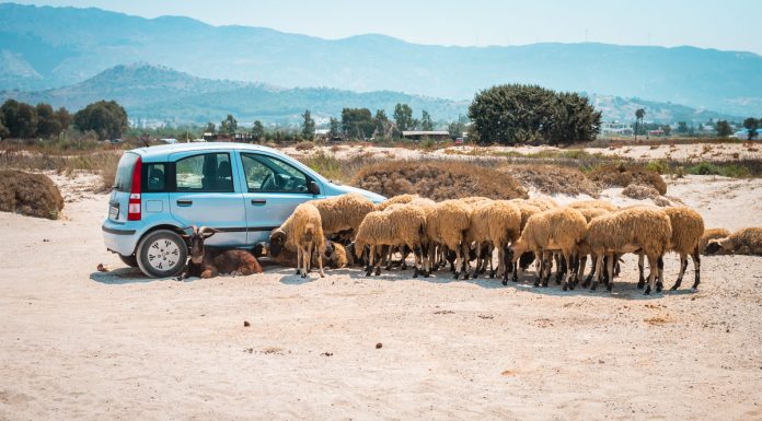 Mietwagen Griechenland Kreta Autofahren Straßenverkehr