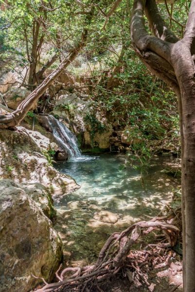 Myli Schlucht Kreta Rethymno Wanderung Wasserfall