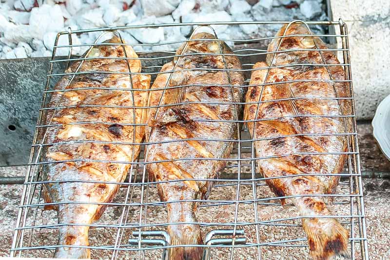Angeln in Griechenland Fisch BBQ Grillen