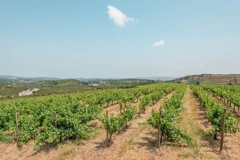 Kreta Weingut Domaine Paterianakis Meleses