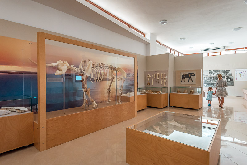 elephant museum tilos elefanten sehenswürdigkeiten