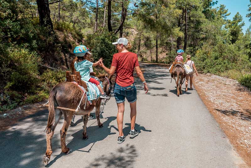 Rhodos mit Kindern Esel Reiten Pferde