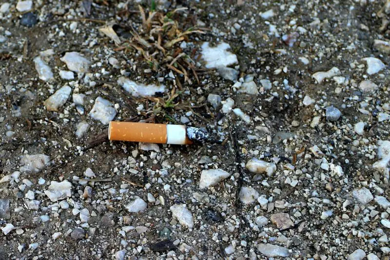 Zigarette Waldbrand Risiko