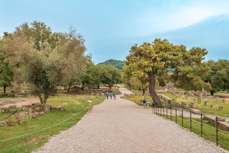 Altis Olympia heiliger Olivenhain Griechenland