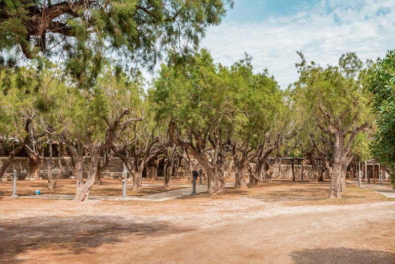 Camping Kykladen Sifnos Kamares Makis