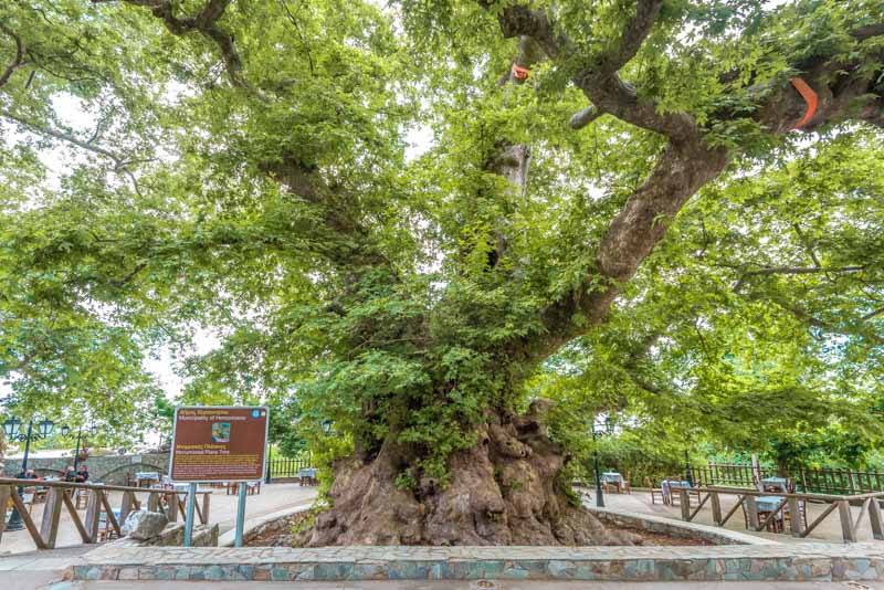 Kreta Geheimtipps Dorf Krasi Lasithi